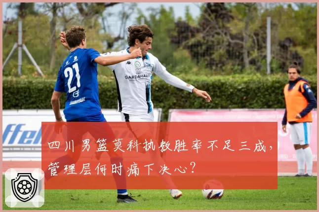 四川男篮莫科执教胜率不足三成,管理层何时痛下决心?